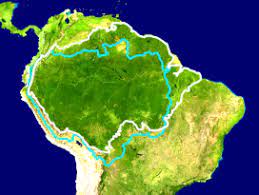Since the beginning of human history, people have cut down trees to make way for agricultural or. Amazon Rainforest Wikipedia