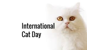 Maybe you would like to learn more about one of these? World Cat Day 2020 Wishes Message Greetings Quotes Sayings Image Picture Smartphone Model