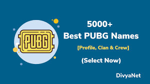 Take them as ideas, it is possible that some names are used. 20 000 Pubg Names Unique Cool Clan Names Stylish Funny