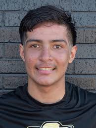 HS FOOTBALL: Area roundup from Nov. 13, playoff pairings -- UPDATED