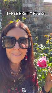 As we march further into autumn I am so grateful when my roses bloom—I know  that there’s a January in my future where nothing will be happening!😭.  Three roses that were looking good today:, 🌿Soeur ...