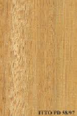 Image result for Canarium schweinfurthii