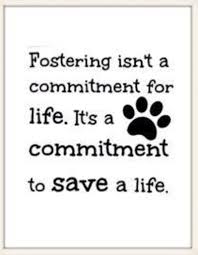 Peyton's Place Animal Rescue