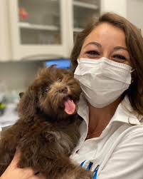 University Veterinary Hospital