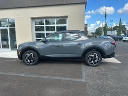 Image result for Hampton Gray 2024 Santa Cruz