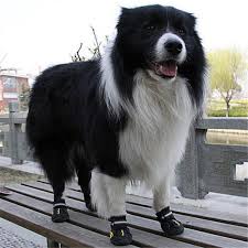 Qumy Dog Boots Waterproof Shoes For Large Dogs With Reflective Velcro Rugged Anti Slip Sole Black 4pcs