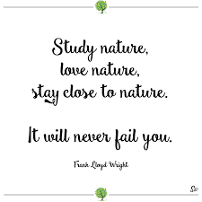 31 Most Beautiful And Inspiring Nature Quotes Spirit Button