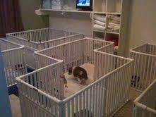 Indoor Plastic Puppy Pens Testimonial Rover Company Blog Dog Playpen Puppy Pens Dog Crate