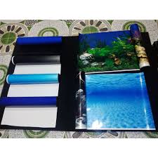 We did not find results for: 19 One Side White Back Plastic Aquarium Fish Tank Background Designs Back Ground Decor Shopee Philippines