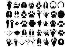 Download 31 Animal Paw Svg Paw Prints Files Animal Tracks Animal Paw Paw Print