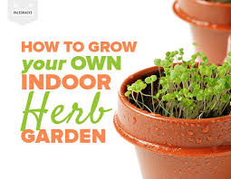 How to plant small herb garden. How To Grow Your Own Indoor Herb Garden In A Small Space