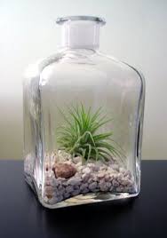 Art Made From Reclaimed Tiles And Collector S Rocks Yelp Terrarium Mini Garden Glass Terrarium