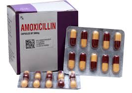 Image result for Amoxicillin