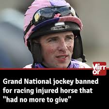 The horse collapsed before the final hurdle