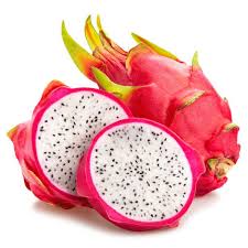 Dragon fruit pitaya not setting fruit even if it flowers well? Dragon Fruit David Bowie Vine Plant Pitaya Hylocereus For Sale