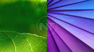 download moto g 3rd generation firmware wallpapers ringtones naldotech download moto g 3rd generation firmware