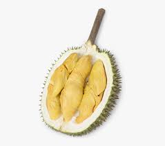 Masukkan ke dalam freezer hingga beku (minimal tiga jam). The Durian Story Durian Hd Png Download Transparent Png Image Pngitem