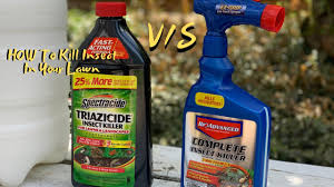You also give your assignment instructions. The Best Insect Killer For Your Lawn Bioadvanced Complete Insect Killer Youtube