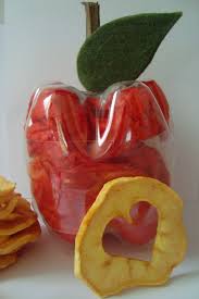 Selbstgedorrte Apfelringe Im Pet Flaschen Apfel Verschenken Apfel Apfel Basteln Apfelringe