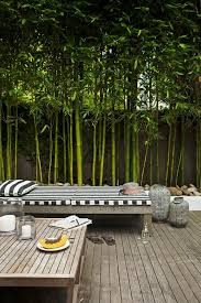 This is a mesmerizing idea for a perfect garden décor. Trees For A Contemporary Garden Olander Garden Design