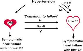 What happens during ventricular systole? Hypertension And Heart Failure A Dysfunction Of Systole Diastole Or Both Journal Of Human Hypertension