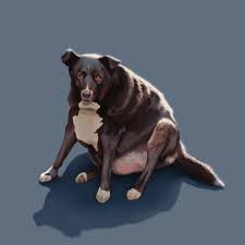 My dog is really fat and unhealthy and it's bc my dad over feeds her but like we are working on that but like are there other foods she should be eating. Artstation Fat Dog Sasha Yevseyev