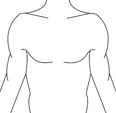 Chest Tattoo Template Google Search Chest Tattoo Template Full Chest Tattoos Chest Tattoo