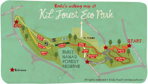 Photos of kl forest eco park. Kl Forest Eco Park Bukit Nanas Forest Reserve Emila Yusof Emilatopia
