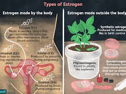 One of the strongest known risk factors for breast cancer is high breast density — that is, relatively little fat in the breast and more connective and glandular tissue, as seen on. Estrogen Types And Their Connection To Breast Cancer