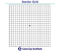 how to test yourself for age related macular degeneration amd lions eye institute