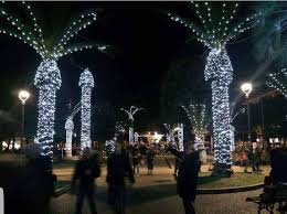How to put lights on a christmas tree. Why You Don T Put Christmas Lights On Palm Trees 9gag