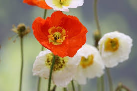 You are so lucky that being gorgeous isn't a crime. 50 Deep Good Morning Messages For Her Relish Bay