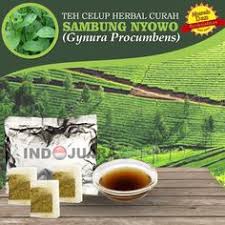 We did not find results for: 1047 Best Herbal Benefits Uses Images Herbal Medicine Herbalism Herbs