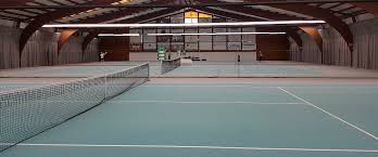 Ebay kleinanzeigen walze tandemwalze tennisplatz wiesen rasen walze hatz motor. Tennishalle Buchen