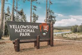 Check spelling or type a new query. Things To Do In Yellowstone National Park Take A Photo By The South Entrance Sign National Parks Yellowstone National Park Yellowstone National