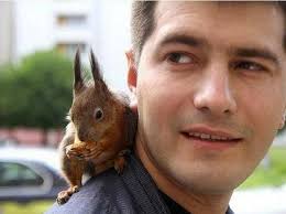 This young western gray squirrel fell from his nest and then was caught by a dog. The Squaddie And The Squirrel Soft Hearted Soldier Who Nursed Dying Baby Creature Back To Health By Feeding It Every Four Hours Daily Mail Online