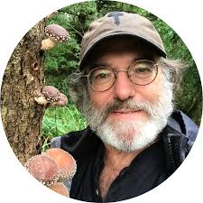 Organic & Sustainably Grown Mushroom Supplements