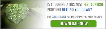 Who is responsible for pest control, landlords or tenants? Us Vs Them Who S Really Responsible For Pest Control In A Rental Property