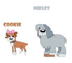 Check spelling or type a new query. More Pound Puppies 2010 By Webkinzfun8 On Deviantart