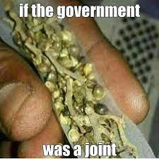 Government No Weed Bad Im14andthisisdeep