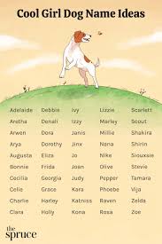 Image result for Pet Names