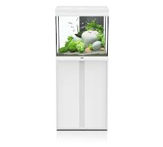 Simple and elegant at a very competitive price. Elegance Expert Aquatlantis Aquarium Aquariums Terrariums Accessories Manufacturing