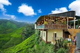 Find this pin and more on cameron highlands, malaysia by nick's wanderings. Lepas Gian Di Puncak Cameron Highlands Blogger2u