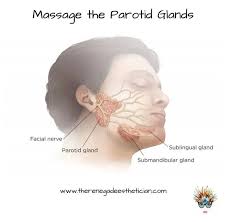 The Renegade Esthetician, FNTP