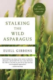 We did not find results for: Stalking The Wild Asparagus Euell Gibbons Haftad 9780811739023 Bokus