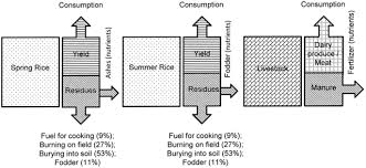 Usd us dollar eur euro jpy japanese yen gbp british pound chf swiss franc cad canadian dollar aud australian dollar hkd hong kong dollar top 30 world currencies. Burn Or Bury A Comparative Cost Benefit Analysis Of Crop Residue Management Practices Among Smallholder Rice Farmers In Northern Vietnam Springerlink