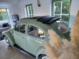 Image result for Pastel Green 1953 Beetle