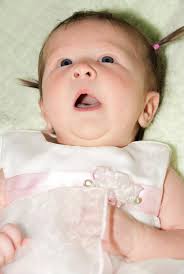 Little Lu-Lu Photography