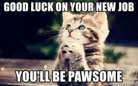 Everyone knows cats rule the internet. Cat Good Luck Memes