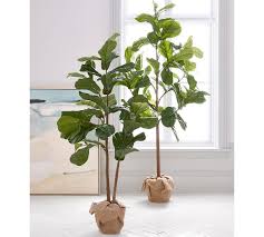 There is no shame in considering a faux alternative to this plant! The Best Faux Fiddle Leaf Fig Tree Zdesign At Home